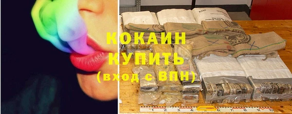 меф Няндома