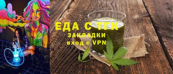 индика Нягань
