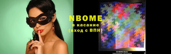 индика Нягань