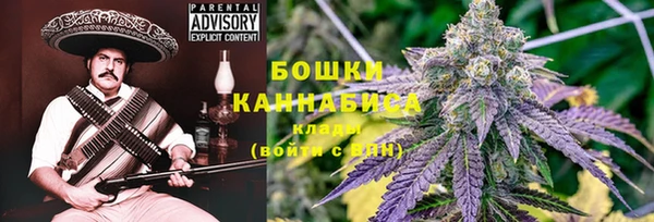 индика Нягань