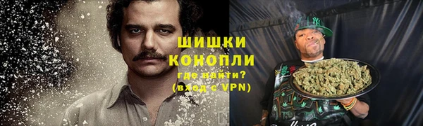 PSILOCYBIN Новозыбков