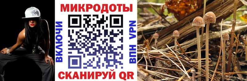 Галлюциногенные грибы ЛСД  mega ссылка  Бирюч  продажа наркотиков 